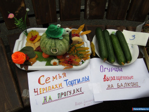 ������ ������ �������� "�������� ������"