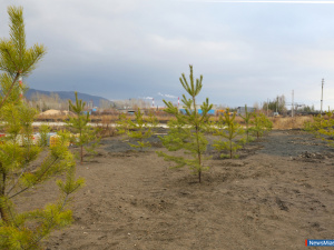 ����� - ��� ���� ���������������� ������