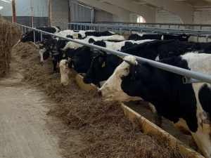 ��� ������� ��������� ����� �������� ���� "����������"