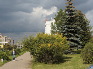 ����� ������� �������