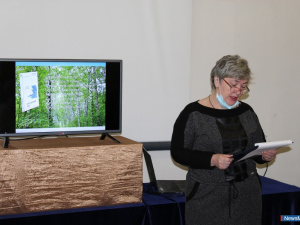 � ������ ���������� ������������� �����������