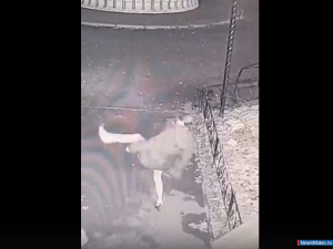 ���� ����������� ������� ������ � ������