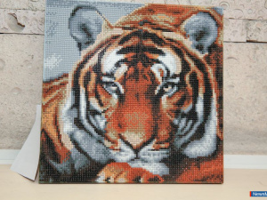 ���������� �����������