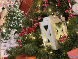 � ������ ������ ��������� "��� ���� ������"