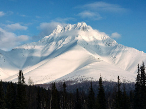 � ��������� ����������