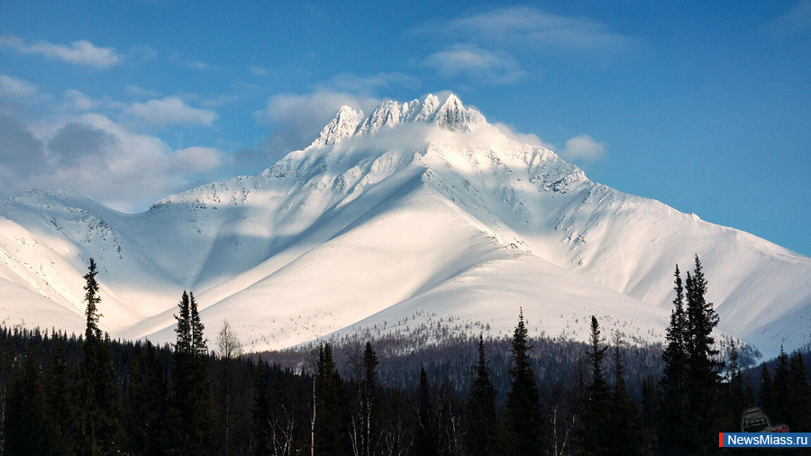   .  " 2022"   .    ""