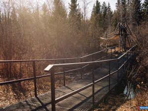 ������������� ������� ������ ��������� � ��������