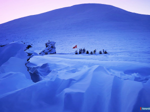 ���� ��������