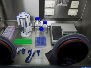 "������� �� ����, ��� ����� ����� ������"