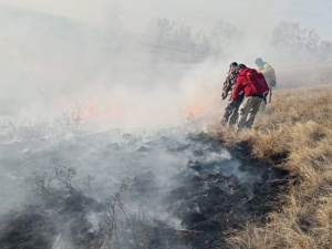 ������������ ������ - �������� ������� ������ �������