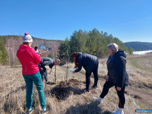 ������ - ����� �������� �� ���������!