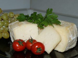 ���������������� ��-�������: ���������, �����, �������