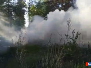 � ������ ���������� ��������� �� ����