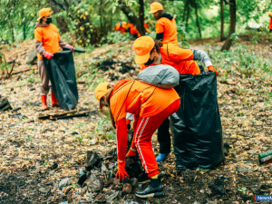 "�����" ������� �������� �������� ����������� ����������� �������