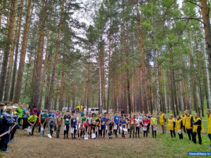 ���������� � �������, � �������� ������