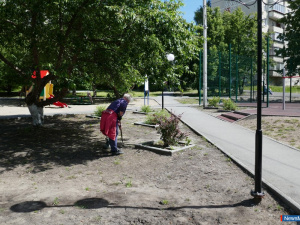 ������������� ������ ������ ����� ������� ��� "��������� �������"