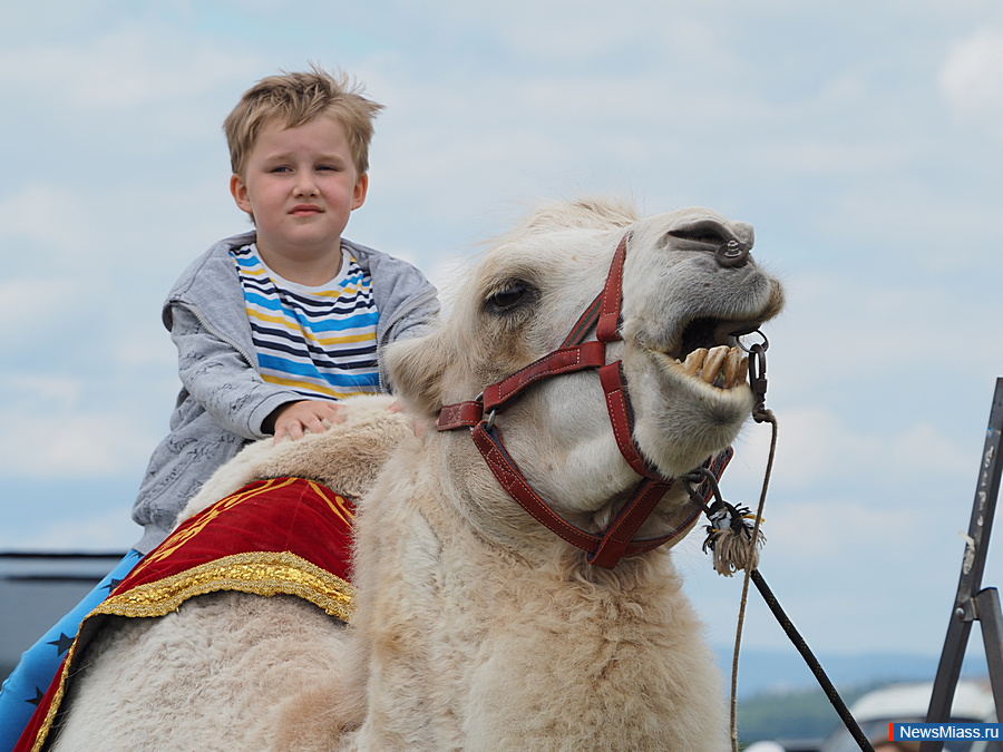      .   ,         -     ""