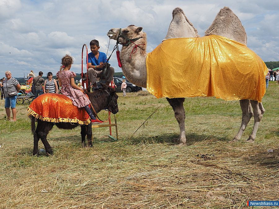      .   ,         -     ""