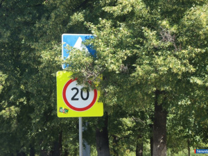 ������������� ������ ������������� �� ������ �������