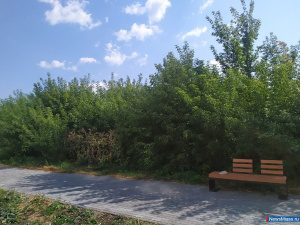 ������� ������������� ������� ������ ���� ����