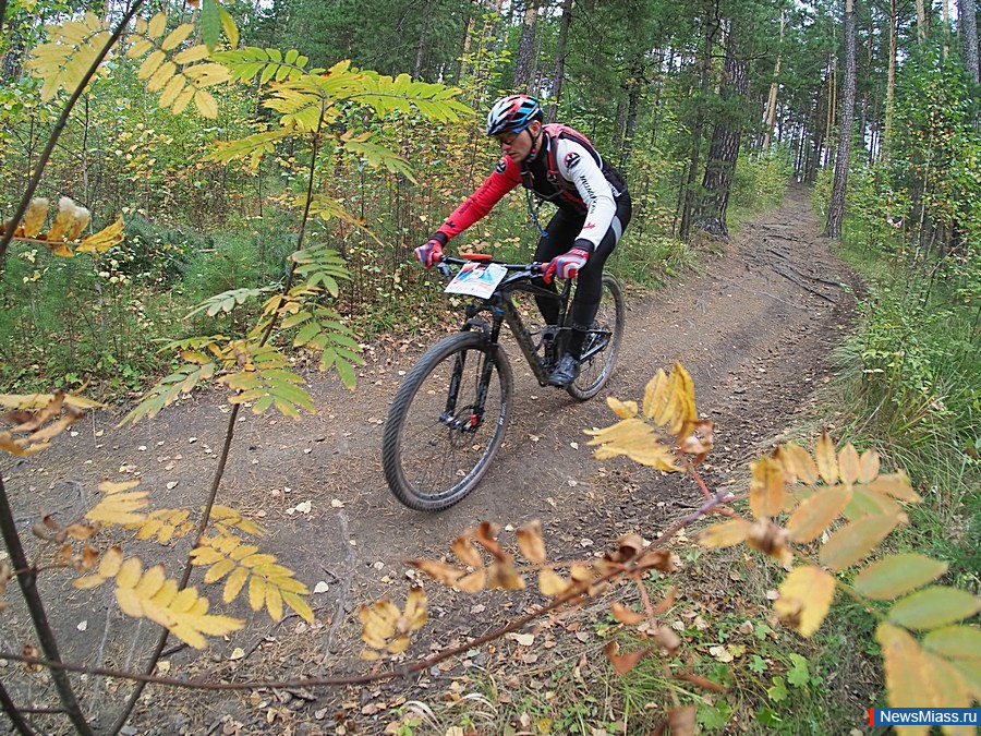 � ������ ������ "����������� ������ ����". ������������ ����� ������ � ������ ����� 80 ��������� ���������� �� ������ �������� ������