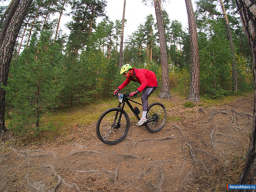 � ������ ������ "����������� ������ ����". ������������ ����� ������ � ������ ����� 80 ��������� ���������� �� ������ �������� ������