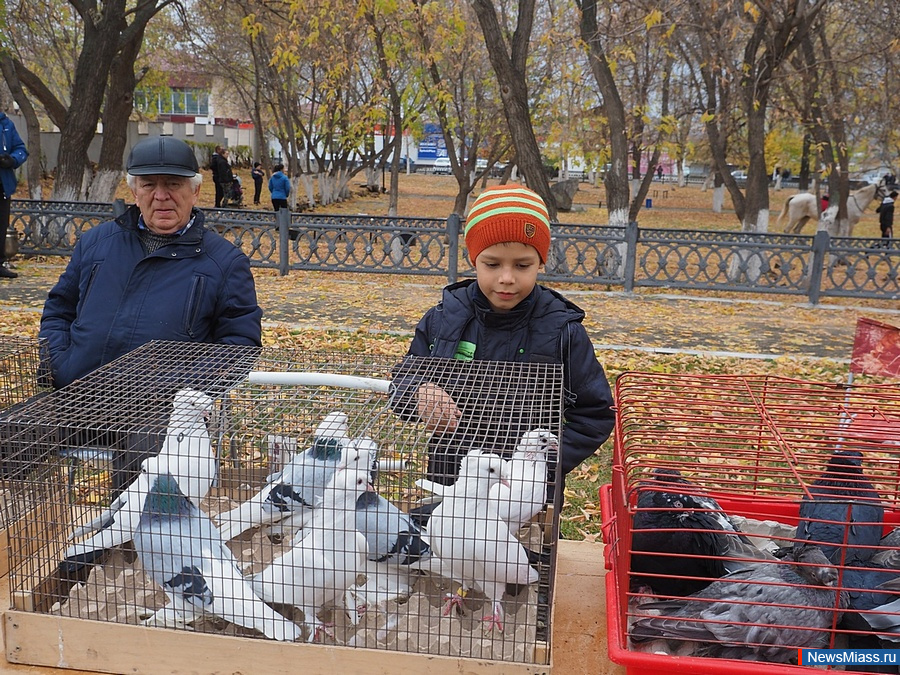 ������� ������� ���������� �������� �������� �������� ����������� � �����. ��������� "��������" ���������� ����-��� ��������� "������� �������� ��������"