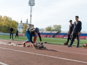 � ������ ��������� ���������� ������������ �� �������-������������� ������