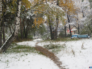 � ������ ������ ���� �������� ������ �����