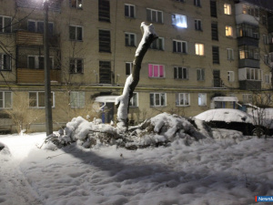 ������ ������ �������� ���� ����� � �����������