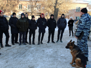 �������� ������ �������� � ������ � �����������