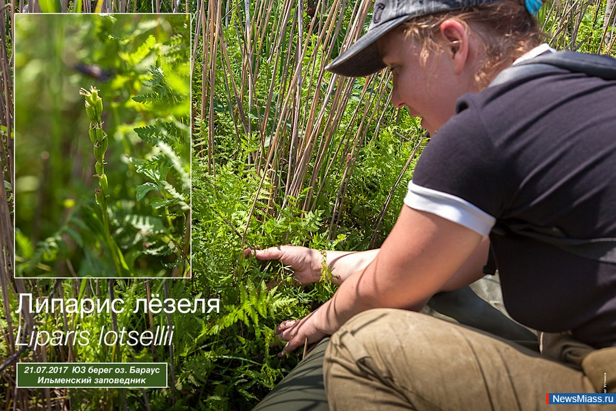 ������ �� ������ ���������� ��������� ������� � ����������. "�������� �������" ������� ������������ � ����������� �� ������� ������ ������