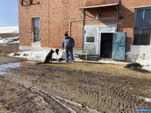 ���������� ������ ������ ����������� "�����"