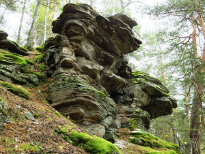 ���� �������� �������� ����� ���� ������� � ���������� �����������