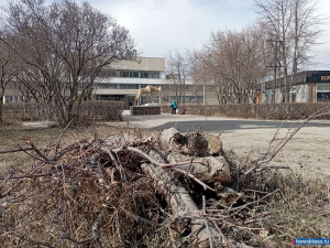 �� ������� ����� �������� � ������ ������� �������