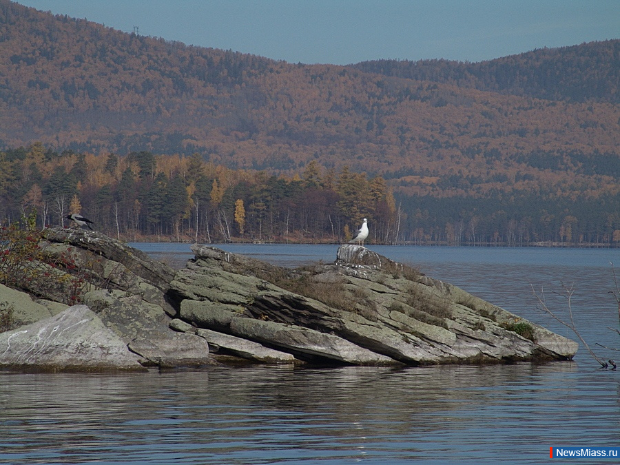 � �������� �������� �������. ���� � ������� ����� ������� ����� ��-�� ������� � ������-������ ������