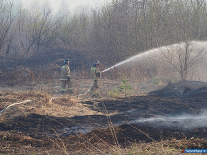 � ������ ����� ������������ �����