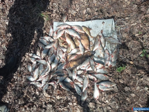 � ������ ������� ������-����������