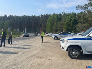 � ������ �������� ����� "��������, ����!"