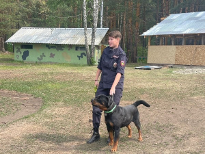 � ������ �������� ������� ������������� ����������� ��� ����������