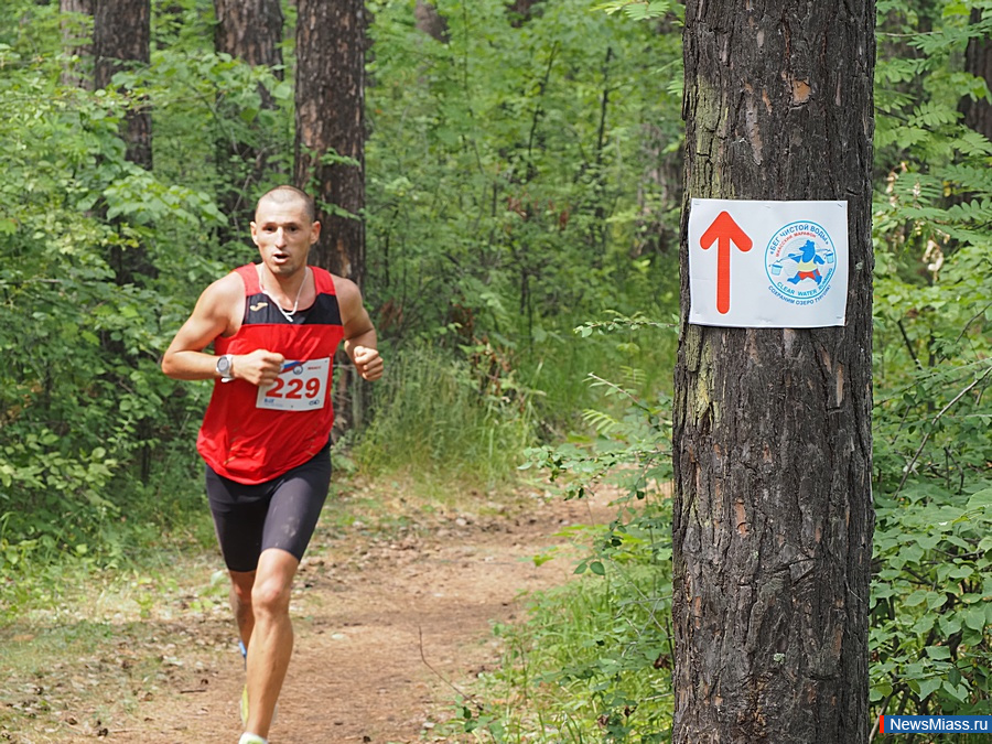  31-     "  ".       400    