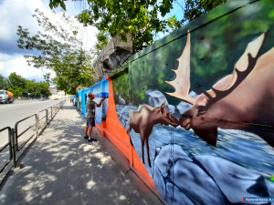 200-�������� �����-��� � 250-����� ������: ���������� 70%