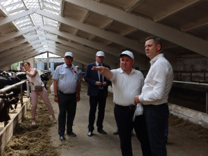 "�������� ��������� � ������ - ���� �� �������� � �������"