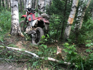 � ������ ������������ ������������ ������������ � ����