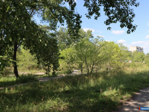 ����� ������ ���������� ���������� � �������