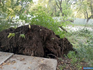 � ������ ���������� ������ � ������ ������� ������