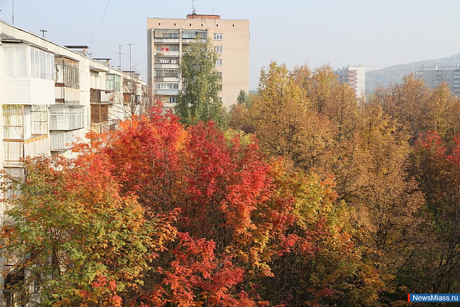 Выходные в Миассе будут тёплыми и без осадков. В Челябинской области в предстоящий уик-енд обещают тёплую осеннюю погоду