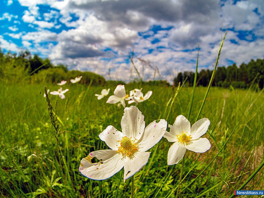 ����, �� ���� �����!. �������� NewsMiass.ru ���������� ����� ��������� �������� ��������