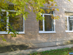 ����� ���� - � ���� ���� �������