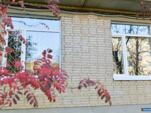 ����� ���� - � ���� ���� �������